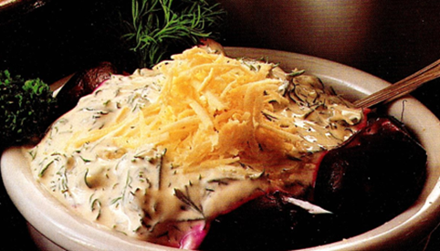 Rødbeder med creme fraiche og peberrod