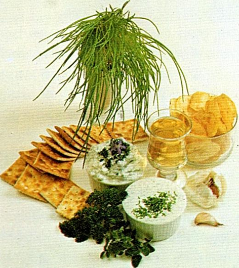 Dip med krydderurter