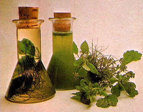 Grillolier - grillsauce - grillmarinader