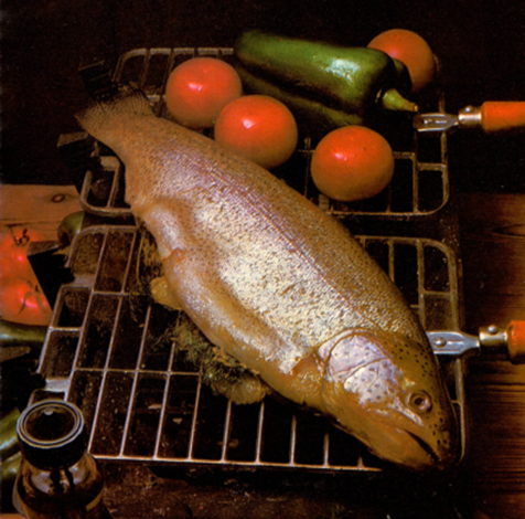 Grillstegt regnbueørred