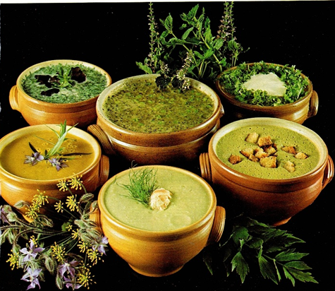 Supper og krydderurter