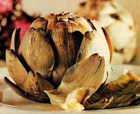 Artiskok naturel