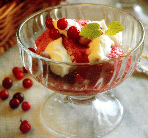 Tyttebærsorbet