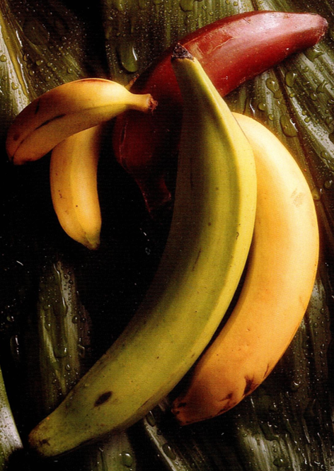 Banan