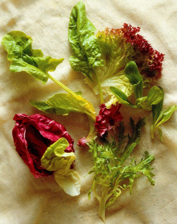 Grøn salat
