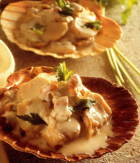 Kammusling - Coquille Saint-Jacques