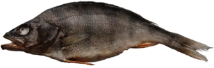 Lutfiskbudding