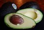 Avocado info
