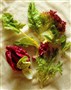 Grøn salat